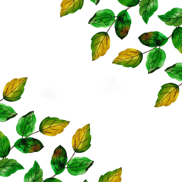 Beautiful Wedding Background Picture 38