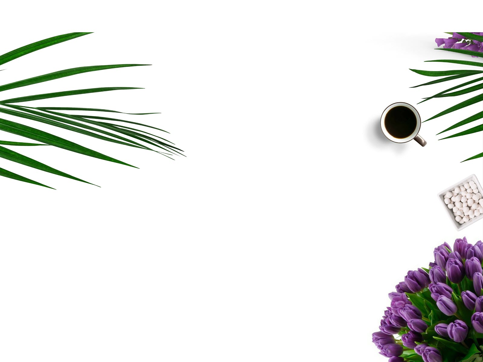 Beautiful white powerpoint wallpapers Picture 17