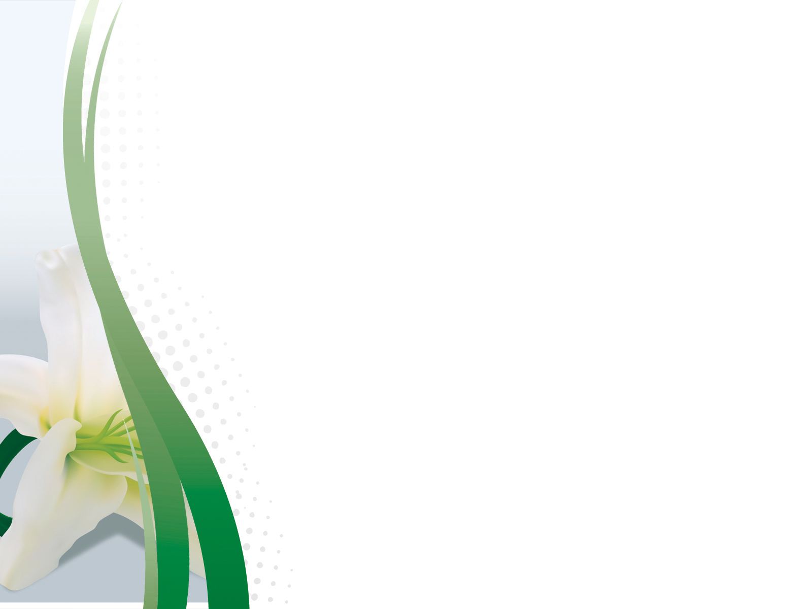 Beautiful white powerpoint wallpapers Picture 45