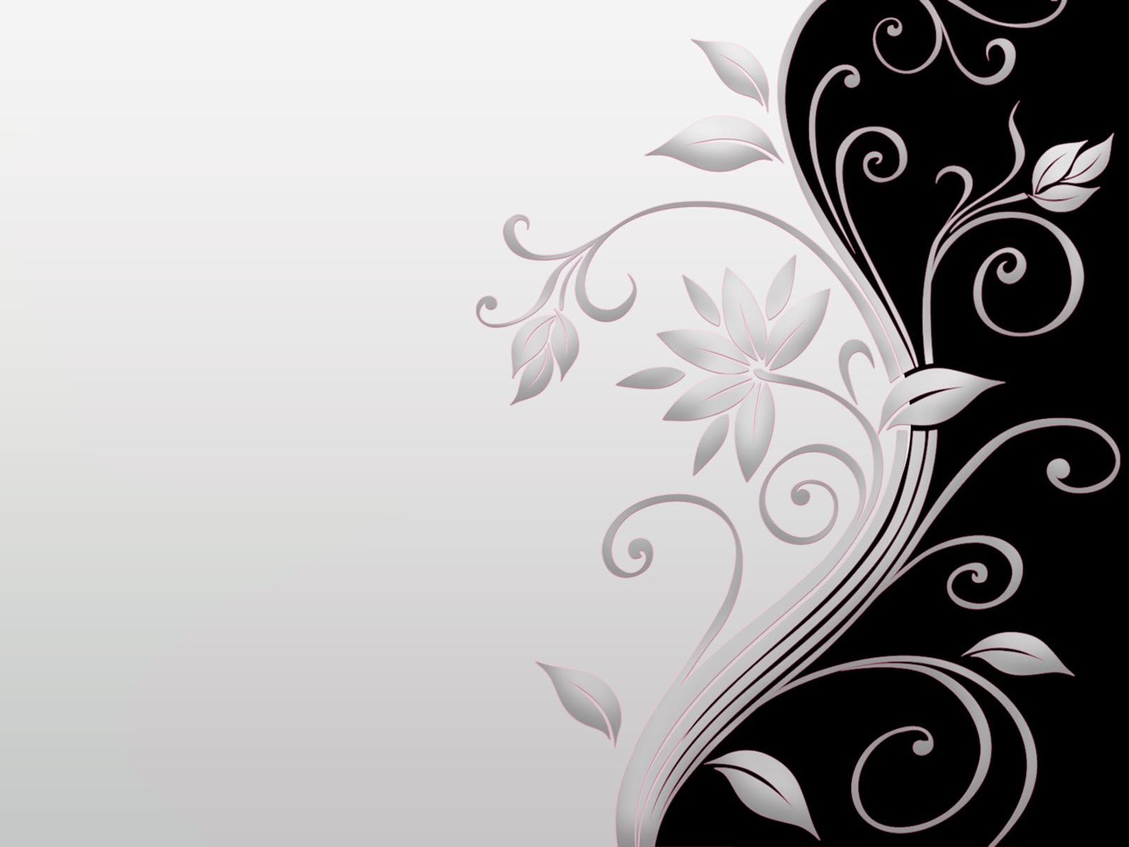 Beautiful white powerpoint wallpapers Picture 61