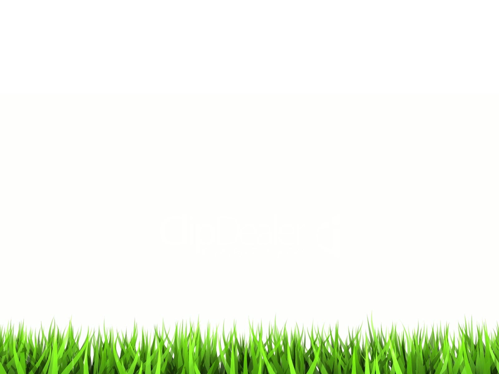 Beautiful white powerpoint wallpapers Picture 80