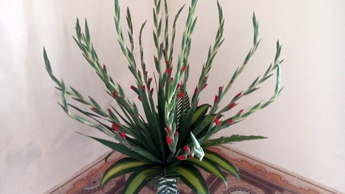 Beeping, stopping flowers blooming right on Tet Picture 4