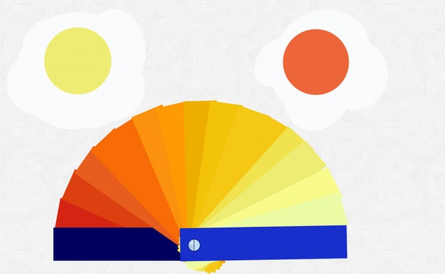 Before eating eggs, pay attention to the color of the egg yolk Picture 3