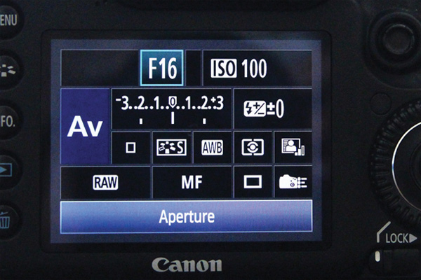 'Beginner lessons' take landscape photos for new ghosts Picture 3