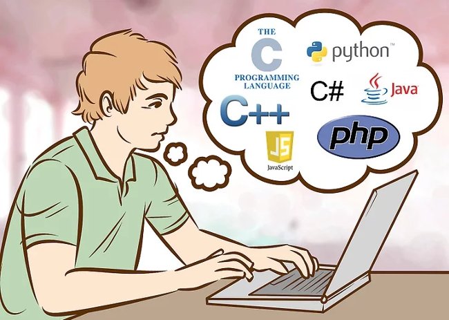 Beginners of computer programming need to focus on what? Picture 1