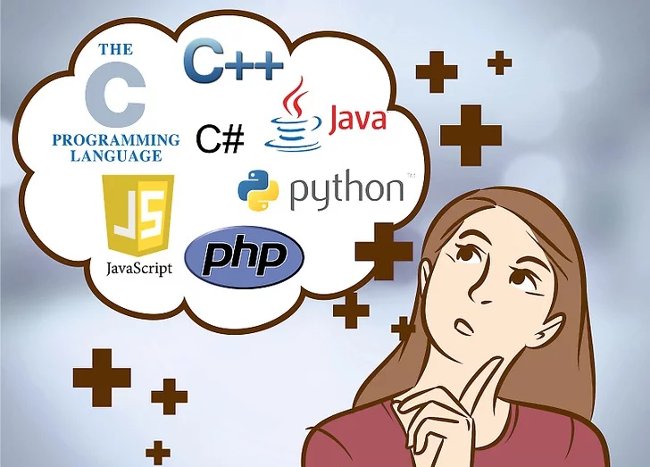 Beginners of computer programming need to focus on what? Picture 6