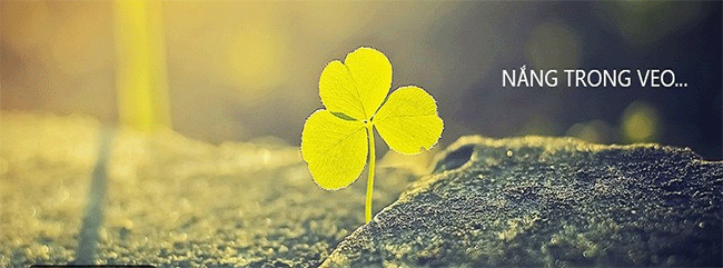 Best Facebook name, meaning, unique, funny, mood Picture 5