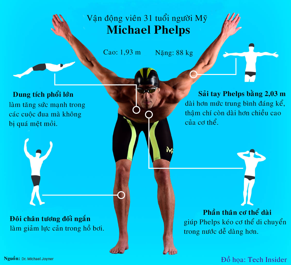 Body characteristics help Michael Phelps swim well Picture 1