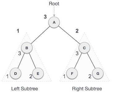 Browse trees in data structures and algorithms Picture 3