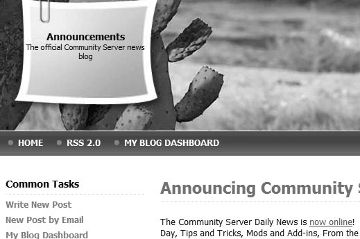 Build an online community with the Community Server Picture 8