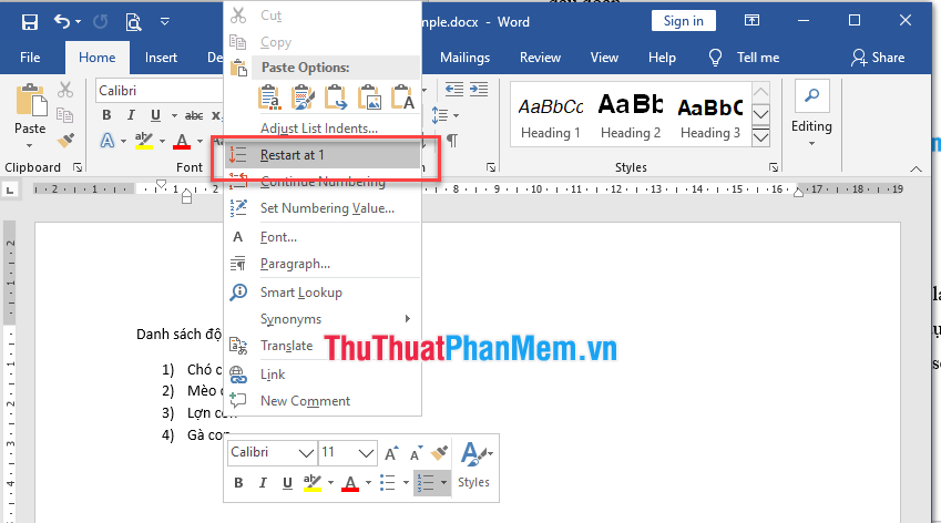 Bullets, Numbering in Word Picture 10
