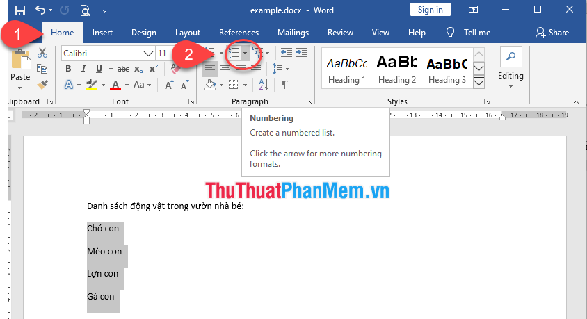 Bullets, Numbering in Word Picture 7
