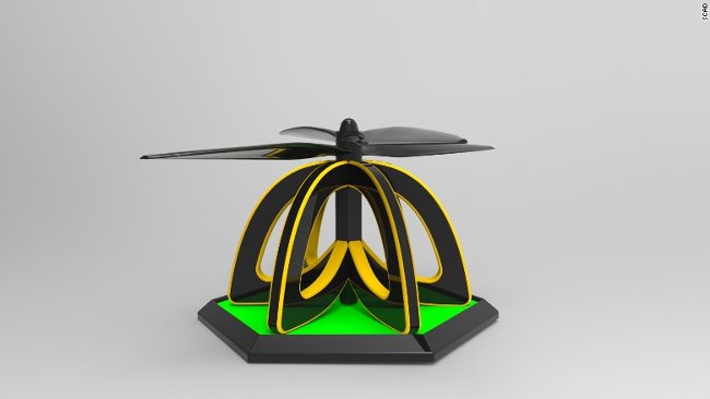 Can Bee Bee Bee be pollinating flowers? Picture 4