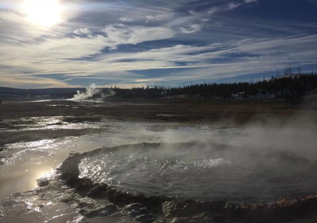 Can humans and animals survive without oxygen? Picture 3