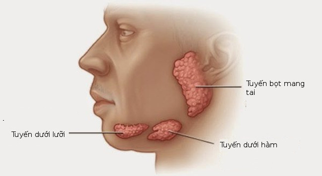 Can saliva foreshadow death? Picture 2