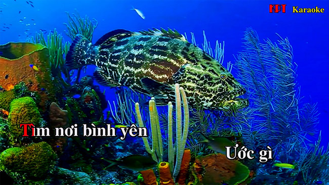 Can singing karaoke online on Smart TV? Picture 2