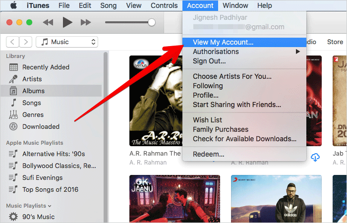 Cancel Apple Music access of third party applications Picture 6