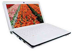 'Carved crystal' of the EEE PC appears Picture 1