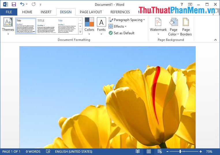 Change the background image and background in Word Picture 12