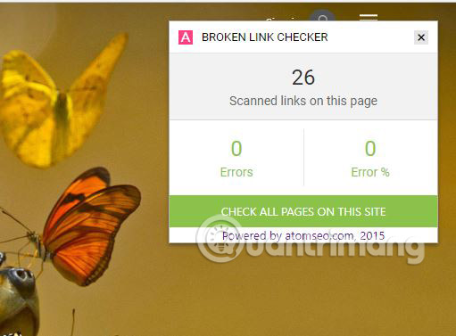 Check and detect broken links on any website Picture 5