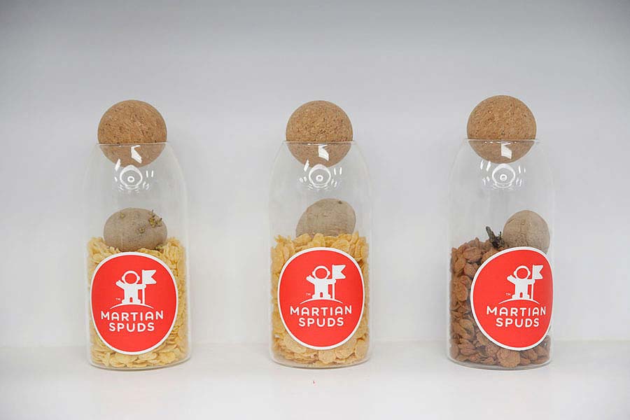 Chinese companies simulate the exact Martian environment right in the Gobi desert Picture 6