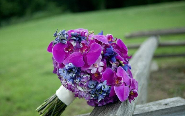 Choose flowers to give your lover, girlfriend on the occasion of October 20 Picture 6