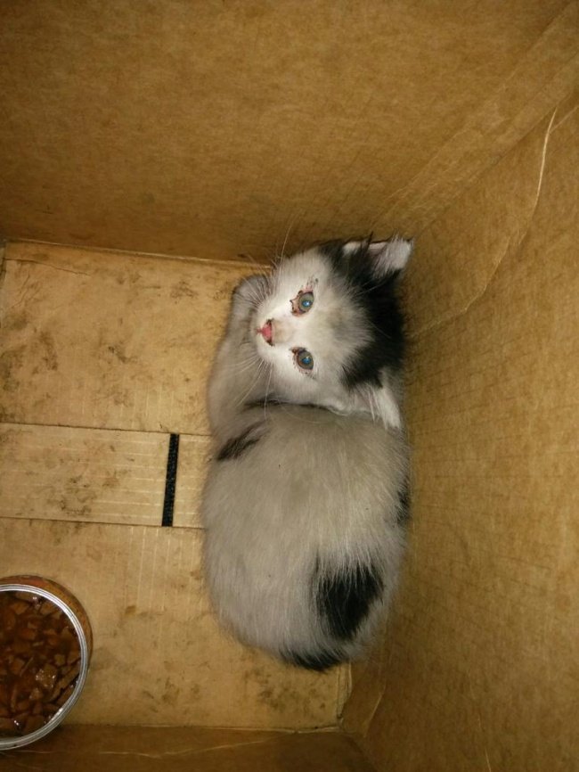 Choosing a photo that makes you feel the most annoying will reveal exactly who you are! Picture 2