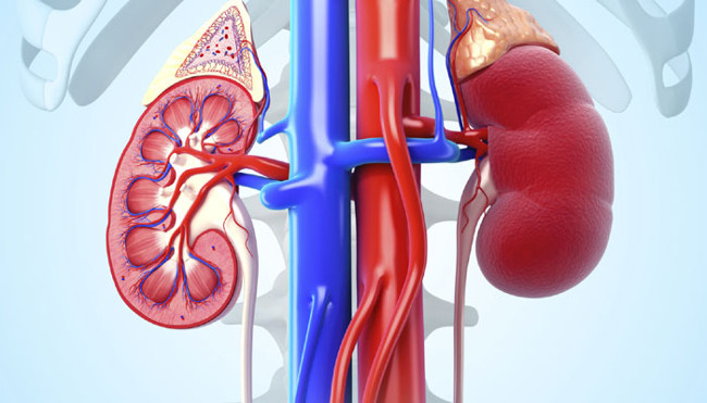 Coffee reduces the risk of death in kidney patients Picture 1
