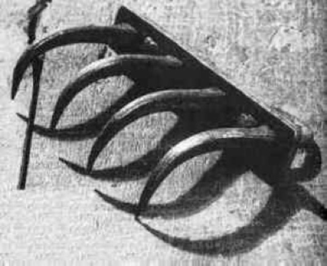 Cold with the most unique torture tools in history Picture 9