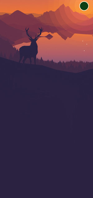 Collection of 50+ unique wallpapers for Samsung S10 / S10 + to help cover the camera 'mole' Picture 8