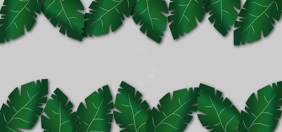 Collection of beautiful leafy wallpapers for Power Point Picture 16