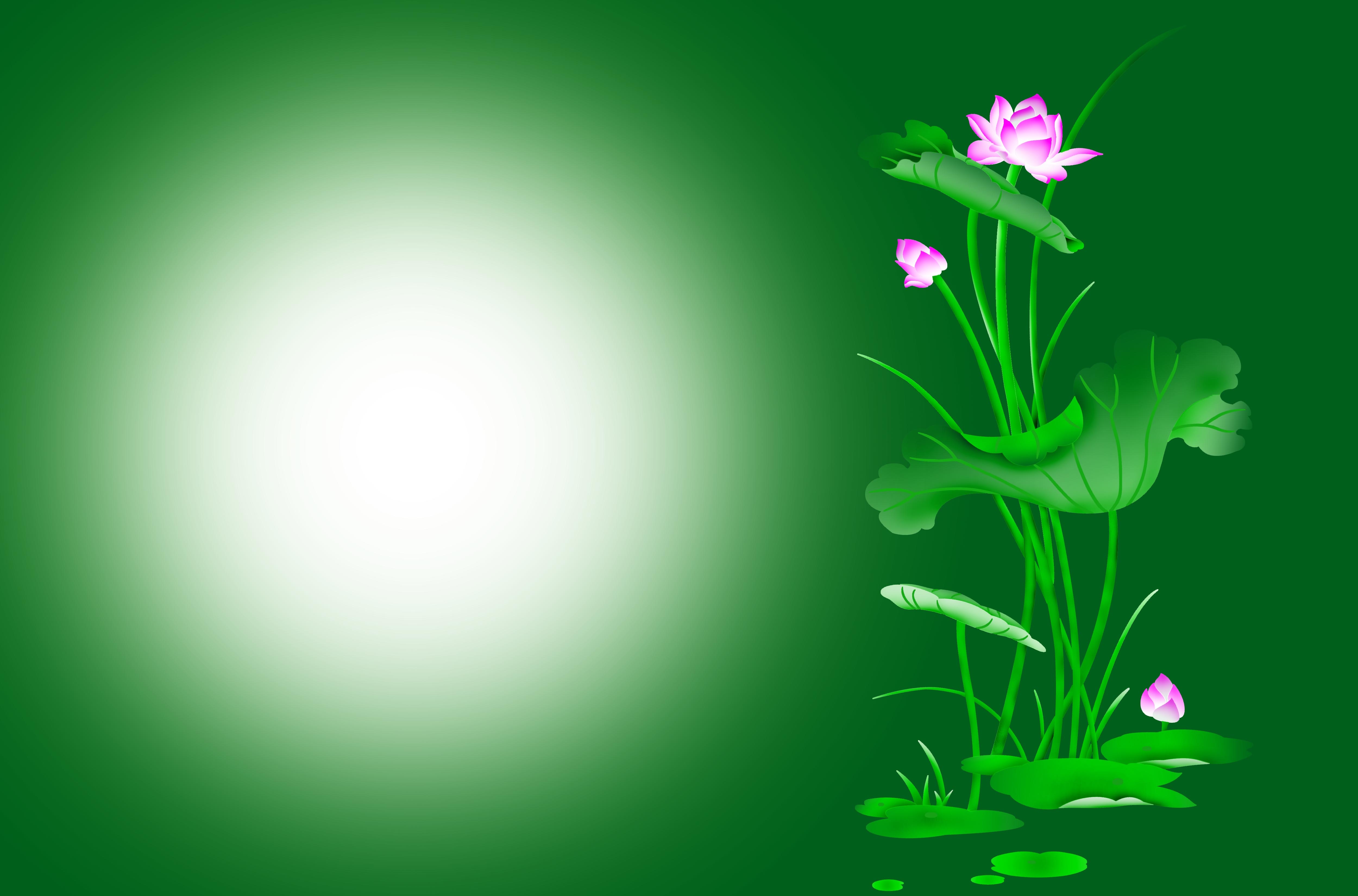 Collection of beautiful leafy wallpapers for Power Point Picture 25