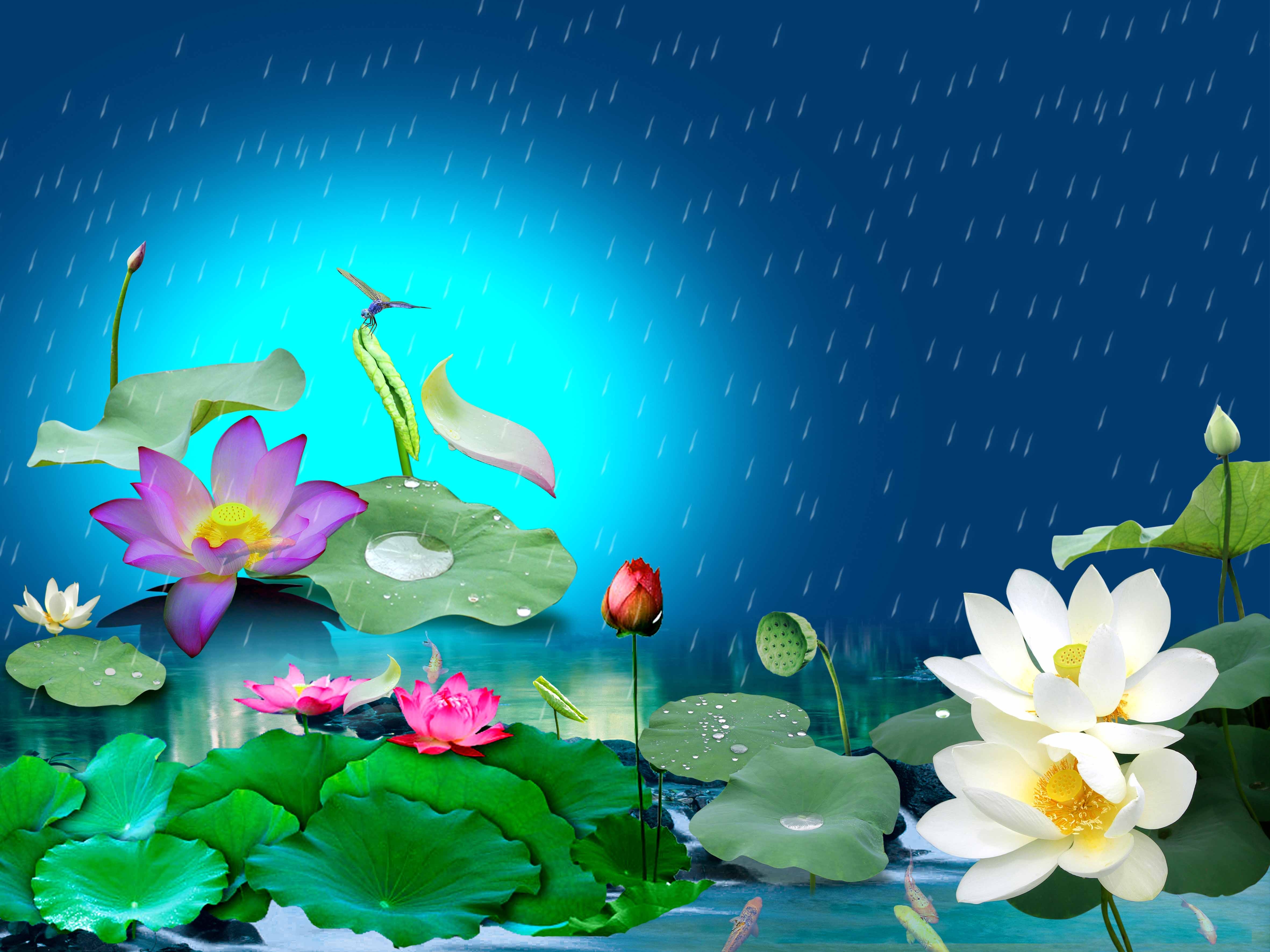 Collection of beautiful leafy wallpapers for Power Point Picture 45