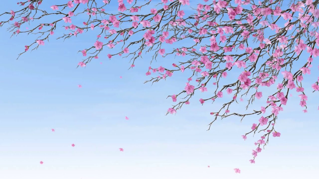 Collection of beautiful leafy wallpapers for Power Point Picture 7