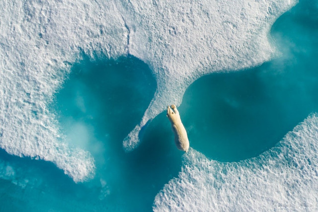 Collection of beautiful nature photos taken by Dronestagram Picture 1