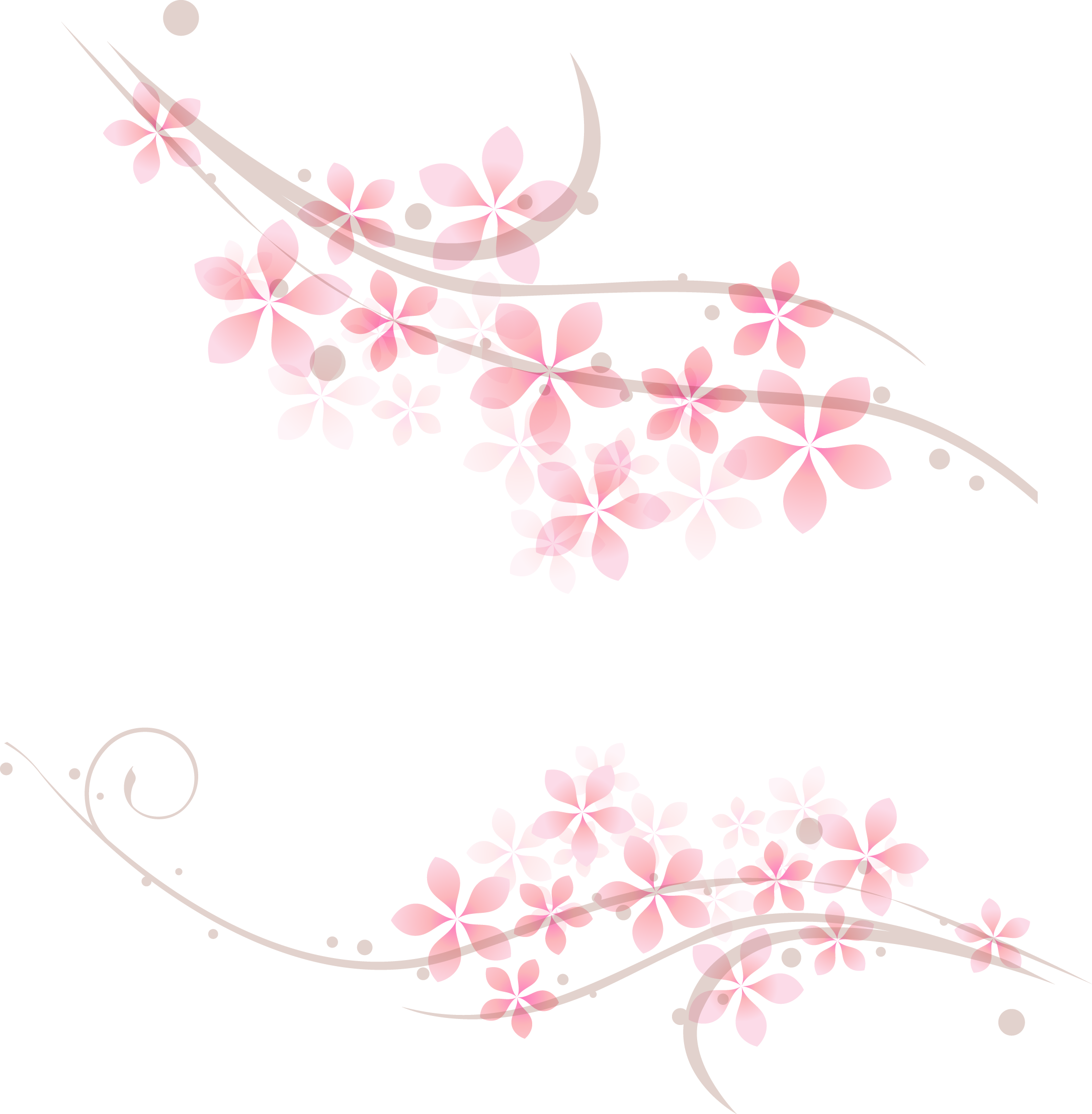 Collection of Peach Blossom PNG images Picture 11