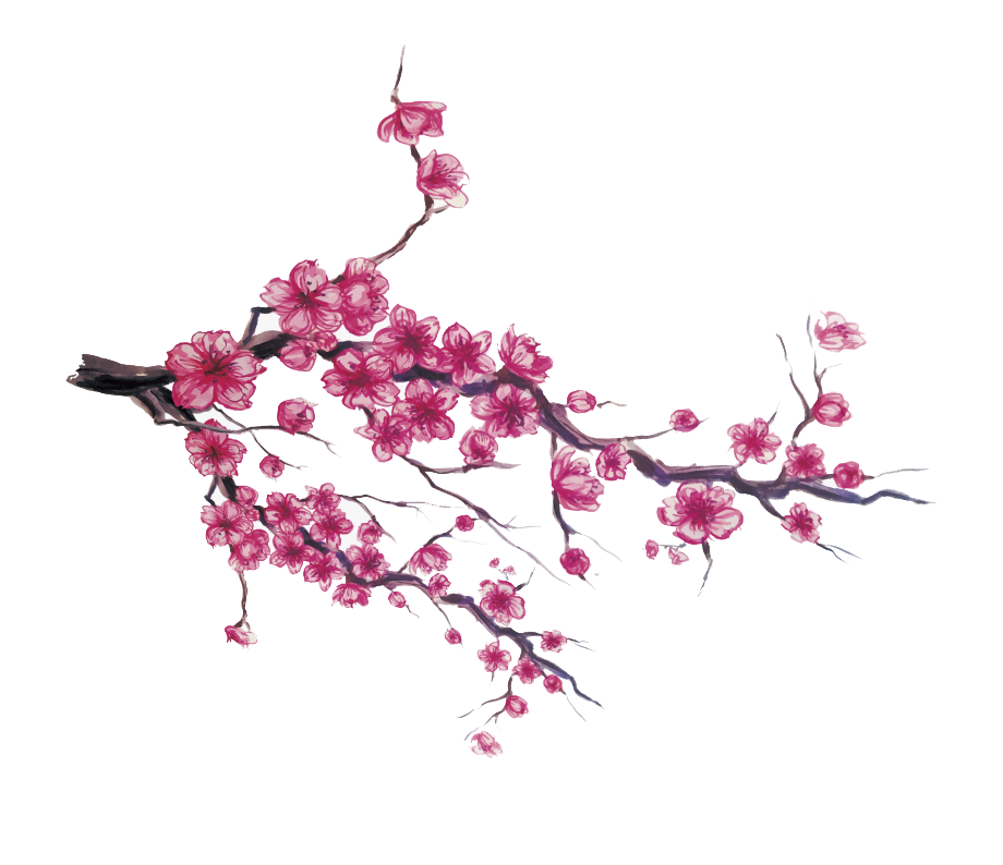 Collection of Peach Blossom PNG images Picture 39