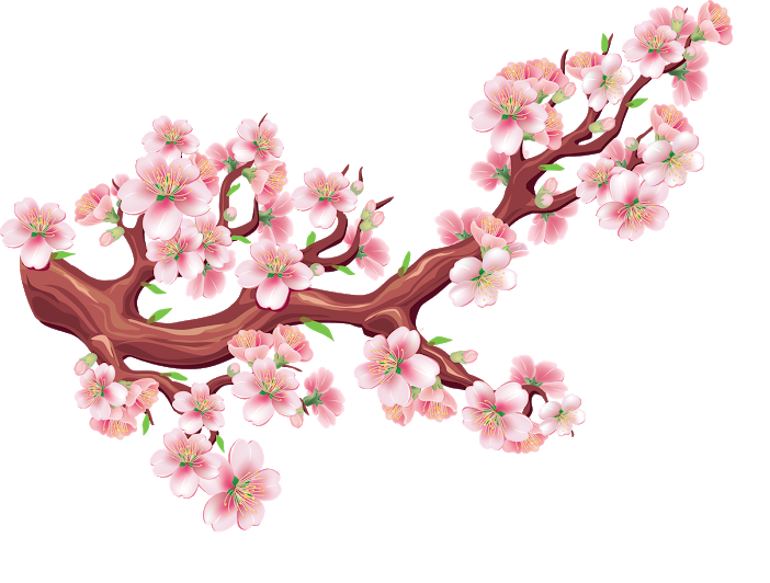 Collection of Peach Blossom PNG images Picture 43