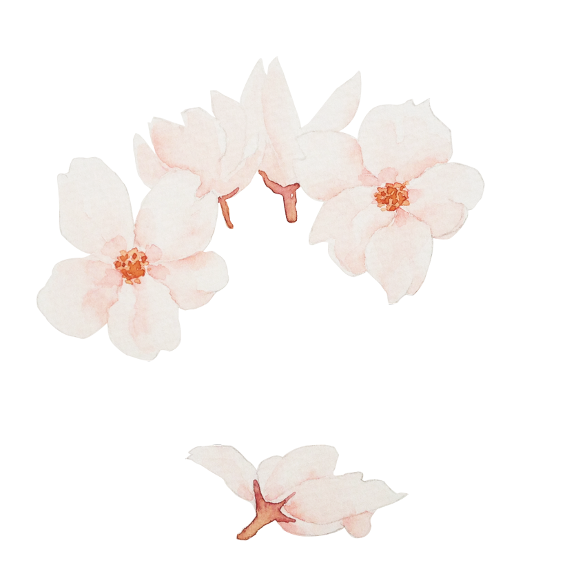 Collection of Peach Blossom PNG images Picture 46