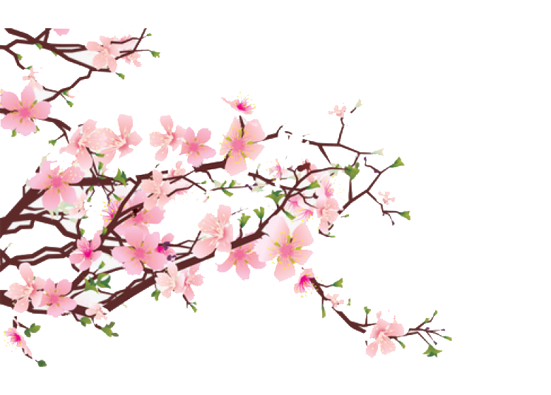 Collection of Peach Blossom PNG images Picture 51