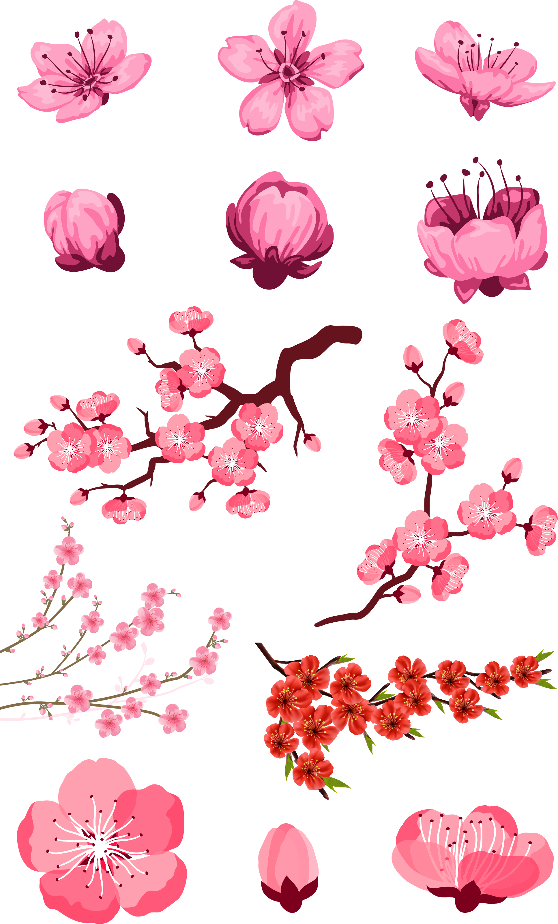 Collection of Peach Blossom PNG images Picture 59