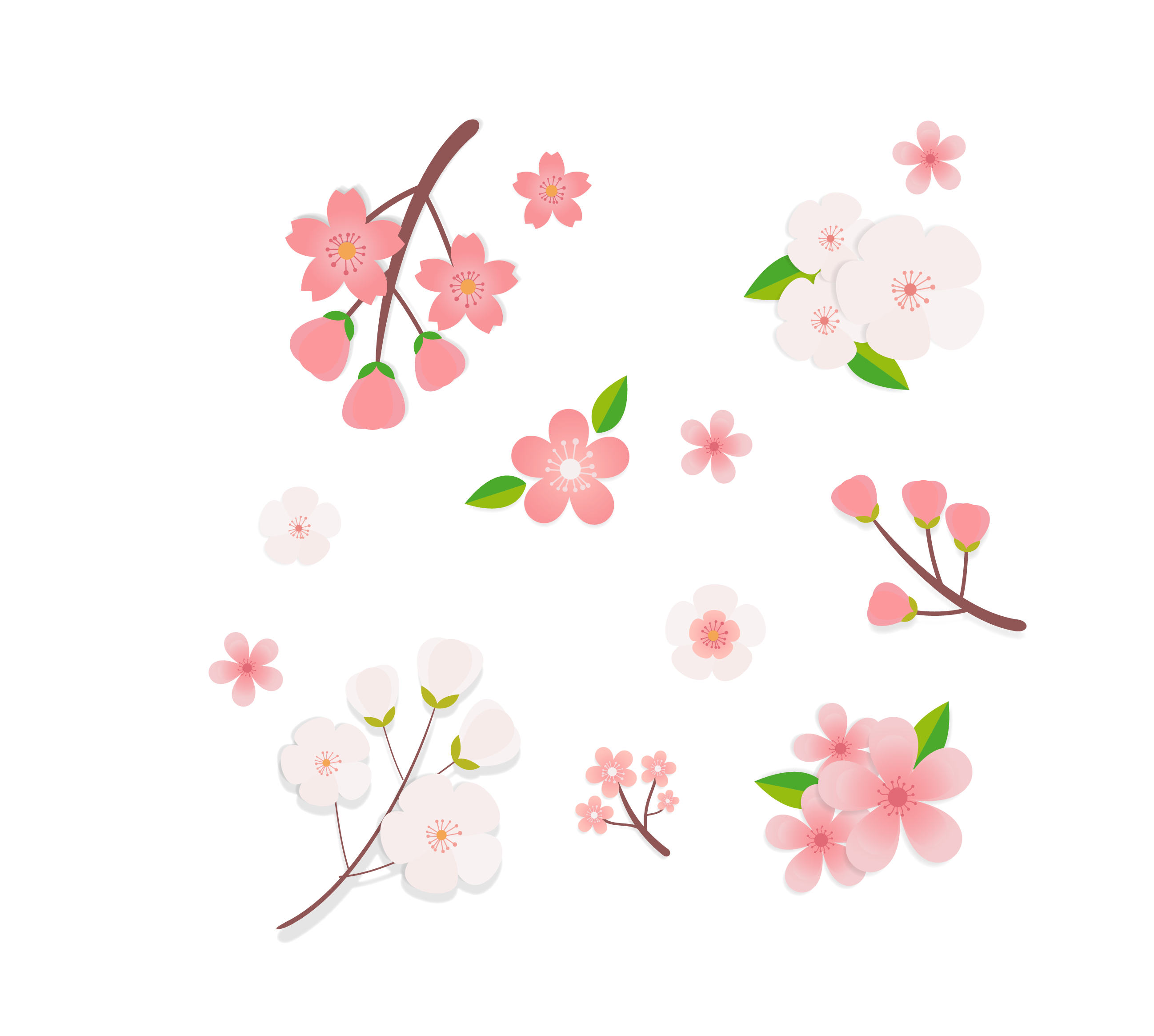Collection of Peach Blossom PNG images Picture 7