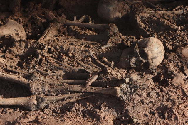 Collective graves with 90 bones were discovered in central Madrid Picture 1