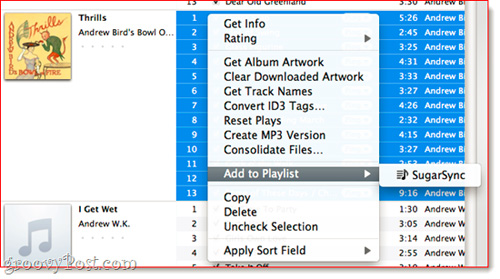 Combine iTunes Playlist with SugarSync in Mac OS X Picture 8