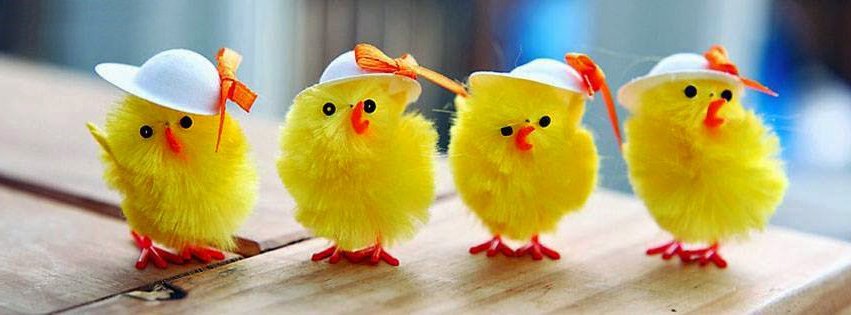 Combine the cutest Facebook cover photos Picture 20