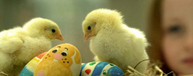 Combine the cutest Facebook cover photos Picture 5