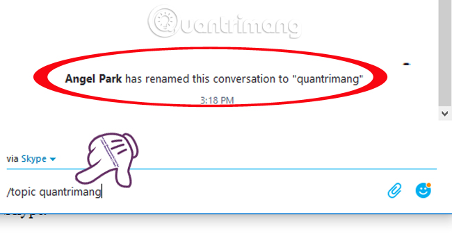 Commands used when chatting Skype Picture 4