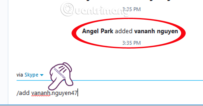 Commands used when chatting Skype Picture 5