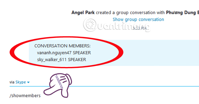 Commands used when chatting Skype Picture 7