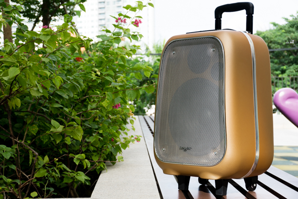 Common errors in mobile pull speakers and how to fix them Picture 2